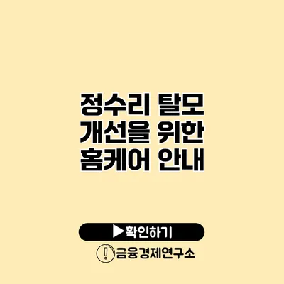 정수리 탈모 개선을 위한 홈케어 안내