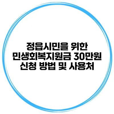 정읍시민을 위한 민생회복지원금 30만원 신청 방법 및 사용처