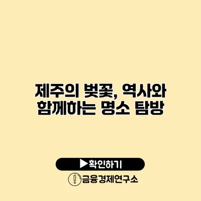 제주의 벚꽃, 역사와 함께하는 명소 탐방