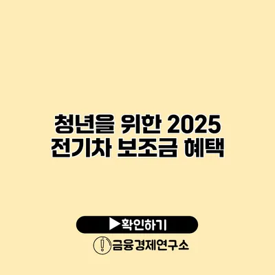 청년을 위한 2025 전기차 보조금 혜택