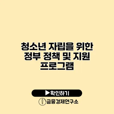 청소년 자립을 위한 정부 정책 및 지원 프로그램