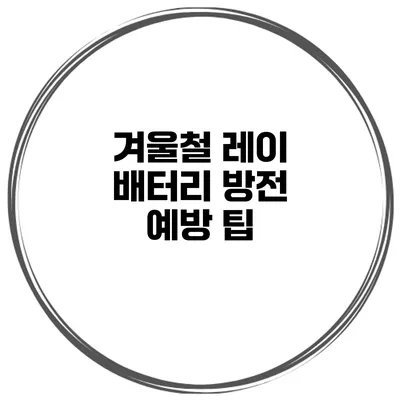 겨울철 레이 배터리 방전 예방 팁