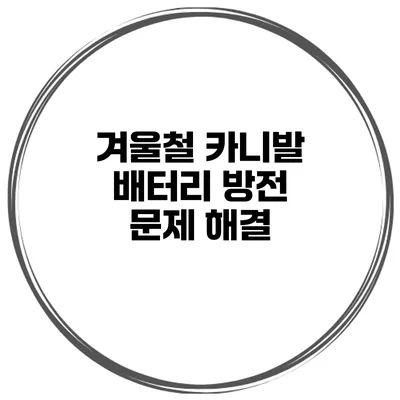 겨울철 카니발 배터리 방전 문제 해결