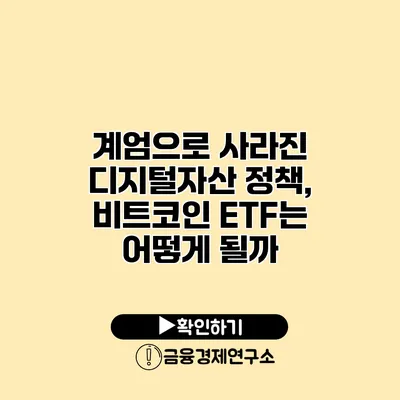 계엄으로 사라진 디지털자산 정책, 비트코인 ETF는 어떻게 될까?