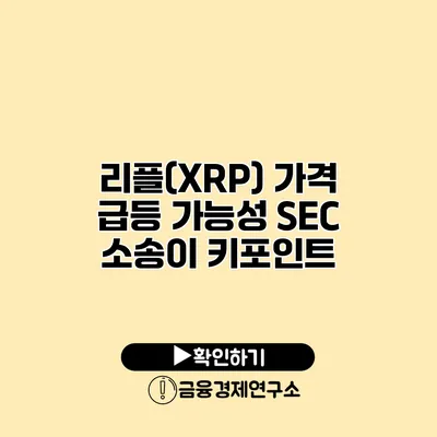 리플(XRP) 가격 급등 가능성 SEC 소송이 키포인트