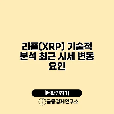 리플(XRP) 기술적 분석 최근 시세 변동 요인