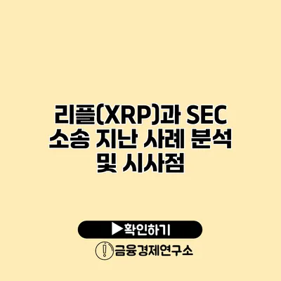 리플(XRP)과 SEC 소송 지난 사례 분석 및 시사점
