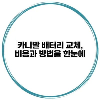 카니발 배터리 교체, 비용과 방법을 한눈에