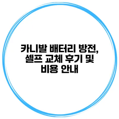 카니발 배터리 방전, 셀프 교체 후기 및 비용 안내
