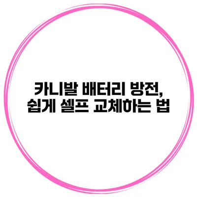 카니발 배터리 방전, 쉽게 셀프 교체하는 법