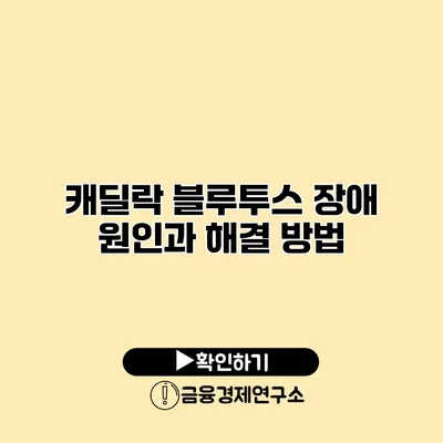 캐딜락 블루투스 장애 원인과 해결 방법
