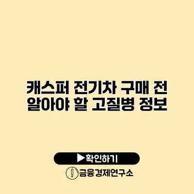 캐스퍼 전기차 구매 전 알아야 할 고질병 정보